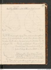 Seite 63, Tagebuch "Palästina (Tagebuch)" (NHMW-PRAE-BBB-80)